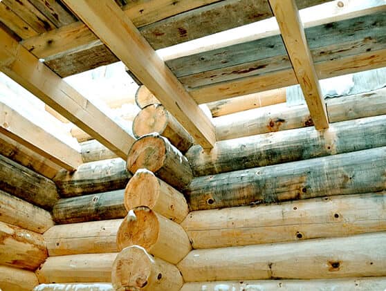 Защитить деревянный дом от синевы